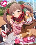  ahoge artist_request basket brown_eyes brown_hair character_name dog gift_bag hakozaki_serika idolmaster idolmaster_million_live! jacket official_art scarf thighhighs twintails 