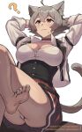  1girl ? ahoge animal_ears barefoot boosty_username breasts brown_corset cat_ears cat_girl cat_tail choker cleavage closed_mouth commentary corset cropped_jacket crossed_legs grey_hair hair_between_eyes highres jacket large_breasts looking_up mushoku_tensei open_clothes open_jacket panties patreon_username red_eyes red_skirt rinia_dedoldia shirt short_hair simple_background skirt smile solo tail thighs toes underwear web_address wersman white_background white_jacket white_panties white_shirt 