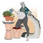 anthro belly big_belly bulge clothed clothing felid food fruit fur gardening hair hi_res knottytracker looking_at_viewer male mammal pantherine plant plant_pot potted_plant pregnant pregnant_anthro pregnant_male smile snow_leopard solo standing strawberry tail tomato topwear watering_can