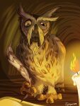 2018 avian bird brown_body brown_feathers candle elderly_male ezylryb feathers feet feral guardians_of_ga&#039;hoole hi_res ignigeno male owl screech_owl solo talons toes true_owl whiskered_screech_owl white_body white_feathers writing_text yellow_eyes