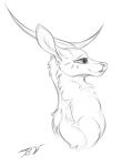  antlers cervine deer deer_nose digital_drawing_(artwork) digital_media_(artwork) fangs female feral hi_res horn mammal monochrome neck_tuft pinky_bestia portrait shaded simple_background simple_shading sketch smile solo teeth tuft white_background 