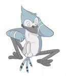  balls bird blue_jay erection male mordecai penis regular_show solo tenderule34 