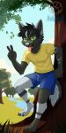 anthro blue_bottomwear blue_clothing blue_shorts bottomwear bulge canid canine canis claws clothing forest fur gesture green_eyes grey_body grey_fur hand_gesture hi_res leaf looking_at_viewer male mammal netiscraft paws plant river shirt shorts solo tail topwear tree v_sign white_body white_fur wolf yellow_clothing yellow_shirt yellow_topwear