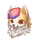  canine chibi chiroina chyo cute fox mammal painted sketch 