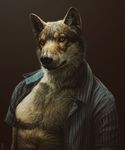  anthro black_nose brown_eyes brown_fur canine chest clothing detailed fur grey_fur kannos looking_at_viewer male mammal muscles nipples open_shirt pecs pose realistic shirt solo wolf 
