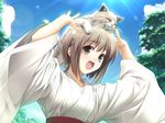  amatsume_akira animal animal_on_head antenna_hair brown_hair cat cat_on_head flat_chest game_cg hashimoto_takashi japanese_clothes miko nature on_head open_mouth solo yosuga_no_sora 