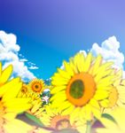  blue_sky cloud day field flower flower_field green_hair hat kochiya_sanae sky solo sunflower touhou yamaguchi_yuu 