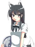  animal_ears black_hair cat_ears copyright_request grey_eyes grune sidelocks simple_background solo tail tray waitress wolf_ears wolf_tail 