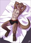  abs anthro bed biceps black_nose body_markings brown_fur bulge feralise fur ket_lesh lying male mammal markings muscles mustelid nipples on_back otter pecs pillow solo topless underwear 