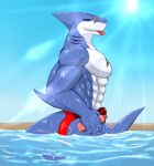  abs anthro beach biceps blue_body blue_skin clothing condom fangs fin fish grin invalid_tag looking_at_viewer lube male marine muscles pecs pose ryuukikeito scales scar seaside shark solo speedo standing sun swimsuit teeth toned topless water white_skin yellow_eyes 