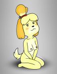  animal_crossing anthro blonde_hair blush breasts canine eledensfw female grey_background hair half-closed_eyes invalid_tag isabelle_(animal_crossing) lewd_(disambiguation) looking_at_viewer mammal nintendo nipples nude simple_background smile solo video_games 