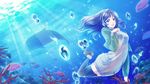  animal blue_eyes blue_hair dress fish highres hiradaira_chisaki long_hair nagi_no_asukara suzune_(kuroneko2) swimming thighhighs underwater whale 