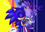  anthro blaze_the_cat blue_fur blue_hair cat clothed clothing feline female fur gloves hair hedgehog macro male mammal micro open_mouth purple_fur purple_hair sega silver_the_hedgehog size_difference smile sonic_(series) sonic_the_hedgehog standing straight video_games white_fur white_hair yellow_eyes 