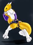  3_toes areola blue_eyes breasts canine chest_tuft claws digimon elbow_gloves female fox fritzlesticks fur gloves looking_at_viewer mammal masturbation nipples renamon solo toe_claws toes tuft white_fur yellow_fur yin_yang 