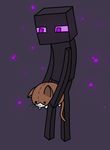  a_cat_is_fine_too cat enderman feline mammal minecraft plushie purple_eyes video_games 