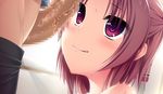  1girl amagasa_hikari blush brown_hair censored game_cg pink_eyes tamahaji!_-tamatama_hajikeru_imouto-tachi 