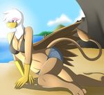  absurd_res anthro anthrofied avian beach bra breasts cake cleavage clothed clothing cloud female food friendship_is_magic gilda_(mlp) gryphon hi_res lying marik_azemus34 mountain my_little_pony navel outside rock sand seaside short sky solo underwear wide_hips wings 