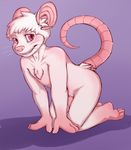  bastion blush chest_tuft erection fur humanoid_penis kneeling looking_at_viewer male mammal mouse nude open_mouth penis pink_eyes pink_nose pink_penis plantigrade purple_background rodent shadow solo teeth tuft whiskers white_fur 