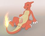  balls belly charmeleon chubby erection feral fire jetshark male nintendo penis pok&#233;mon pok&eacute;mon reptile scalie solo tapering_penis video_games 