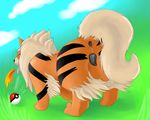  anatomically_correct anatomically_correct_pussy animal_genitalia anus arcanine bestiality black_fur canine canine_pussy deathlight deathlightdb female feral fur grass heat interspecies looking_back mammal nintendo open_mouth orange_fur pok&#233;ball pok&#233;mon pok&eacute;mon pussy solo stripes tongue tongue_out video_games white_fur zoological_gardens zoophile 
