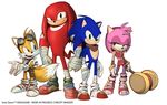  5_fingers amy_rose blue_eyes canine clothing echidna english_text eyewear female fox fur goggles green_eyes group hair hammer hedgehog knuckles_the_echidna looking_at_viewer male mammal miles_prower official_art open_mouth plain_background purple_eyes sega sonic_(series) sonic_boom sonic_the_hedgehog text white_background 