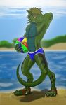  5_fingers abs anthro arm_behind_head armpits beach beach_ball biceps brown_hair bulge claws cloud ear_fins ear_piercing green_scales grin hair hand_behind_head lizard looking_at_viewer male murskahammas muscles outside pecs piercing pose reptile sand sandals scalie seaside shadow short_hair sky smile smiley_face solo speedo standing swimsuit tail_between_legs teeth toe_claws topless underwear water 