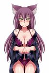  alexandraflordicharlotte animal_ears blush bra breasts cat_ears catgirl clothing eyebrows eyelashes female hair human long_hair looking_at_viewer mammal plain_background purple_hair pussy solo standing underwear white_background yellow_eyes 