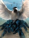  ambiguous_gender arachnid arthropod avian bird blue_fur feral fur rhyu spider tarantula white_feathers 