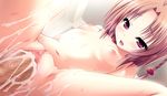  1girl amagasa_hikari blush breasts brown_hair censored cum cum_in_pussy game_cg navel nude penis pink_eyes sex tamahaji!_-tamatama_hajikeru_imouto-tachi vaginal 