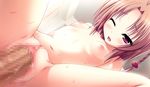  1girl amagasa_hikari blush breasts brown_hair censored game_cg navel nude penis pink_eyes sex tamahaji!_-tamatama_hajikeru_imouto-tachi vaginal 