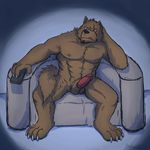  4_toes abs anthro balls bear biceps canine chair erection fur humanoid_penis male mammal mtflying30371 muscles nude pecs penis red_eyes red_penis remote scar sitting solo tongue tongue_out wolf 