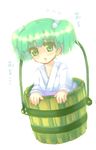  23_(candy_chapus) bucket green_eyes green_hair in_bucket in_container kisume solo touhou wooden_bucket 