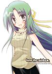  2009 bad_id bad_pixiv_id black_eyes green_hair half_updo higurashi_no_naku_koro_ni insuto long_hair solo sonozaki_shion turtleneck 