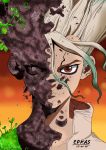  dr. stone tagme 