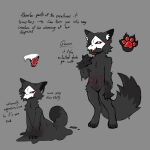 1:1 ambiguous_gender anthro belly_nipples black_body black_fur black_sclera bone canid canine canis changed_(video_game) claws colored dark_body dark_fur dark_latex digital_media_(artwork) dipstick_tail dripping english_text eyelashes fangs fluffy fur fur_markings glistening glistening_body glistening_pawpads goo_creature grey_background hi_res inner_ear_fluff intersex_(lore) looking_at_viewer mammal markings melting model_sheet pawpads paws queen_(veevobyte) simple_background skull skull_head smile standing tail tail_markings teeth text tongue tongue_out tuft vedacia wolf