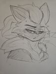 anthro felid generation_7_pokemon headshot_portrait heioart hi_res kami_the_cat legendary_pokemon male male/male mammal nintendo pokemon pokemon_(species) portrait solo zeraora