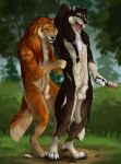 2025 4_toes 5_fingers animal_genitalia anthro arm_markings arm_tuft athletic athletic_anthro athletic_male athoswolf1337 balls biped black_claws black_lips black_nose black_pawpads black_sclera blue_eyes blurred_background braided_mane brown_body brown_fur brush brushing brushing_fur canid canine canine_genitalia canis chest_tuft claws countershading day depth_of_field detailed detailed_fur digitigrade dipstick_fingers dipstick_tail dipstick_toes dirt duo ears_back elbow_tuft fangs feet finger_claws fingers fluffy fluffy_fur fluffy_tail forest fur genitals gloves_(marking) grass hand_behind_head happy hi_res holding_brush holding_object inner_ear_fluff leg_markings lips long_mane looking_at_another looking_at_partner looking_back male mammal mane markings multicolored_body multicolored_fur mythological_canine mythological_creature mythology nature neck_tuft nude open_mouth orange_body orange_fur outside pawpads paws personal_grooming pivoted_ears plant red_body red_fur shaded sharp_teeth sheath shoulder_markings shrub skullsbesan smile snout social_grooming socks_(marking) standing tail tail_markings tan_body tan_fur teeth toe_claws toes tongue tongue_out tree tuft werecanid werecanine werecreature werewolf werewolf_(arkoninu) white_body white_fur wolf