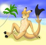  anthro blonde_hair cuntboy digital digital_art fish fur hair hybrid intersex jaxneesen kangaroo looking_at_viewer mammal marine marsupial nude pose pussy relaxing shark sitting smile solo 