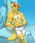  anthro biceps black_nose boxers bulge canine claws dog fangs fur golden_retriever green_eyes grin hat looking_at_viewer male mammal muscles open_mouth pawpads paws pecs pose smile solo standing teeth toned tongue topless underwear vallhund yellow_fur 