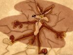 2010 3_toes 4:3 4_fingers adam&#039;s_apple anthro arm_tuft artist_name athletic belly biped black_eyes black_nose brown_body brown_fur canid canine canis chest_tuft colored coyote cracked_ground cracks curling_toes dated digital_drawing_(artwork) digital_media_(artwork) ears_down elbow_tuft eyebrows feet fingers forearm_tuft forearms fur humanoid_hands humanoid_heel knee_tuft leg_tuft looney_tunes lying male mammal multicolored_body multicolored_fur nervous nude oh_crap on_back paws pecs pinup pivoted_ears pose ribs scared shaded shadow shoulder_tuft skinny soles solo stevethedragon swallowing tan_belly tan_body tan_eyebrows tan_fur text toes tuft two_tone_body two_tone_fur uhoh warner_brothers wile_e._coyote yellow_sclera