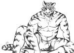  anthro biceps body_markings boxers bulge feline fur looking_at_viewer male mammal markings monochrome muscles nick300 nipples pecs pose sitting sketch solo spread_legs spreading stripes tiger toned topless underwear 