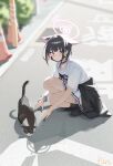  1girl absurdres animal_ears artist_name bare_legs black_cardigan black_choker black_hair black_mask black_shoes black_socks blue_archive blush bracelet cardigan cardigan_around_waist cat_ears choker clothes_around_waist collarbone colored_skin commentary_request extra_ears grey_skin halo highres jewelry kazusa_(band)_(blue_archive) kazusa_(blue_archive) kneehighs loafers logo_print mask mask_pull mouth_mask multicolored_hair official_alternate_costume outdoors p1n pink_hair pleated_skirt road shoes short_hair skirt smile socks solo squatting street sweatdrop two-tone_hair white_hair 