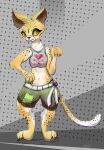 2016 abstract_background anthro bottomwear bra breasts cheetah clothing digital_drawing_(artwork) digital_media_(artwork) felid feline female full-length_portrait fur green_bottomwear green_clothing green_shorts hi_res mammal markings naircat portrait shorts sports_bra spots spotted_body spotted_fur underwear yellow_body yellow_fur