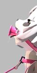 3d_(artwork) absurd_res anthro babydoll bdsm bdsm_collar bear bodily_fluids clothing collar deep_throat digital_media_(artwork) drooling female garter_straps giant_panda hi_res humanoid leash leashed_collar mammal nightgown oral oral_penetration pandan_(pandannsfw) pandannsfw penetration saliva solo