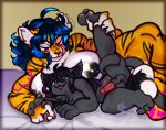 2024 anal anal_penetration areola bed big_breasts black_areola blue_hair breasts digital_media_(artwork) domestic_cat felid feline felis furniture green_eyes gynomorph hair heterochromia intersex intersex/intersex lying mammal maxiinne_sylver niko_nyanko nikorieru on_bed on_side pantherine penetration purple_eyes raised_leg size_difference smaller_penetrated tiger tongue tongue_out