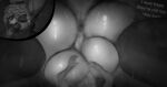 2025 animal_genitalia anthro anus balls big_balls big_butt bodily_fluids body_worship butt clothing duo extreme_size_difference femboy first_person_view genitals hi_res huge_balls kolatti lagomorph legwear leporid macro male male/male mammal micro musk musk_clouds musk_worship musky_anus musky_balls penis perineum presenting presenting_hindquarters puffy_anus rabbit rear_view sheath size_difference sweat sweaty_butt thick_thighs thigh_highs touki_(kolatti)