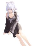  1girl animal_ear_fluff animal_ears black_dress breasts cat_ears cat_girl cleavage collarbone commentary_request daily_(daily178900) dress foot_out_of_frame high_ponytail highres long_hair medium_breasts original ponytail purple_eyes purple_ribbon ribbon short_dress simple_background sleeves_past_wrists smile solo white_background white_hair 