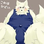  black_nose blush bof3323 bulge canine chubby cum cum_in_pants erection eyebrows fox fur gingitsune gintaro japanese_text kemono looking_at_viewer male mammal penis pixiv sitting solo spreading swimsuit tears text translated whiskers white_fur 