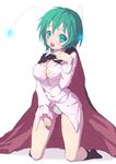  armais cleavage pantsu shimapan touhou wriggle_nightbug 