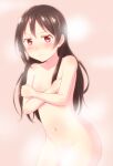  1girl bare_shoulders bath belly blush breasts brown_hair ckst covering_breasts covering_privates highres long_hair looking_at_viewer love_live! love_live!_school_idol_project navel nude red_eyes small_breasts solo steam yazawa_nico 